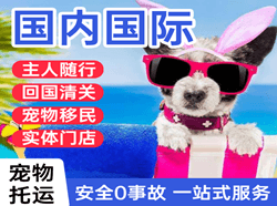 桃仙机场货运国际宠物托运 【国